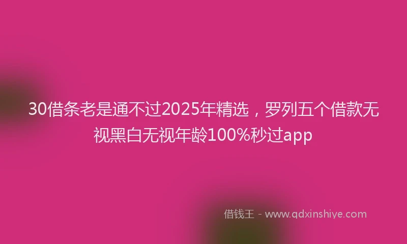 30借条老是通不过2025年精选，罗列五个借款无视黑白无视年龄100%秒过app
