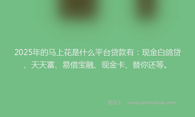 2025年的马上花是什么平台贷款有：现金白鸽贷、天天富、易借宝融、现金卡、替你还等。