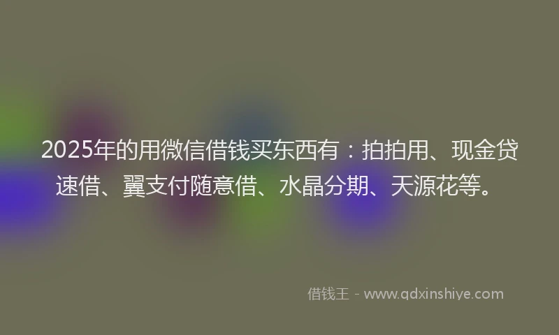 2025年的用微信借钱买东西有：拍拍用、现金贷速借、翼支付随意借、水晶分期、天源花等。