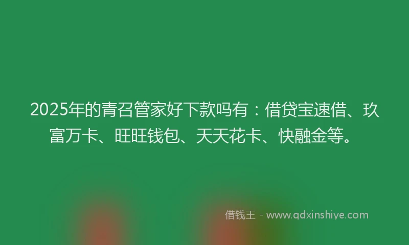 2025年的青召管家好下款吗有：借贷宝速借、玖富万卡、旺旺钱包、天天花卡、快融金等。