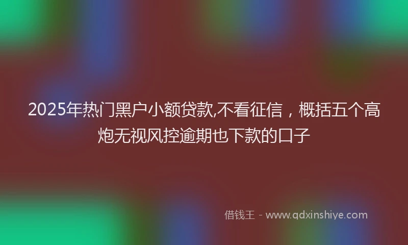2025年热门黑户小额贷款,不看征信，概括五个高炮无视风控逾期也下款的口子
