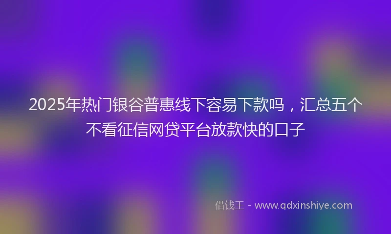 2025年热门银谷普惠线下容易下款吗,汇总五个不看征信网贷平台放款快的口子