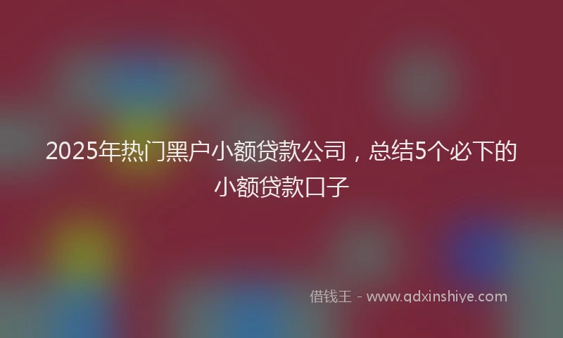 2025年热门黑户小额贷款公司，总结5个必下的小额贷款口子