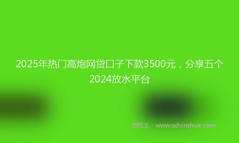2025年热门高炮网贷口子下款3500元，分享五个2024放水平台