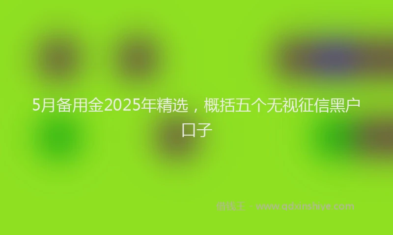 5月备用金2025年精选，概括五个无视征信黑户口子