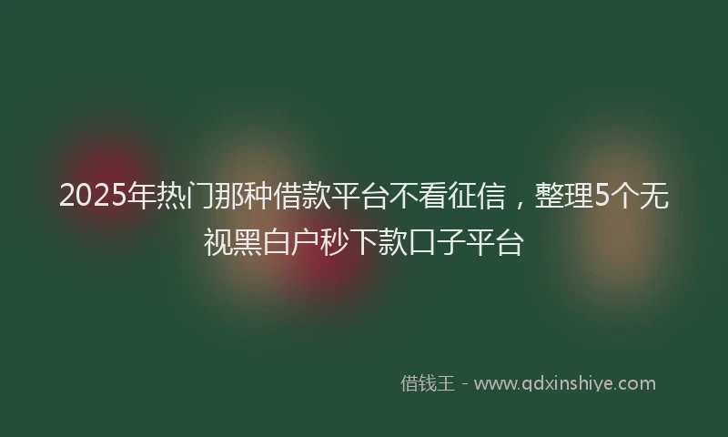 2025年热门那种借款平台不看征信，整理5个无视黑白户秒下款口子平台