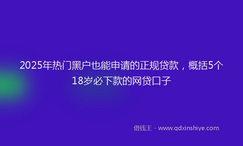 2025年热门黑户也能申请的正规贷款,概括5个18岁必下款的网贷口子
