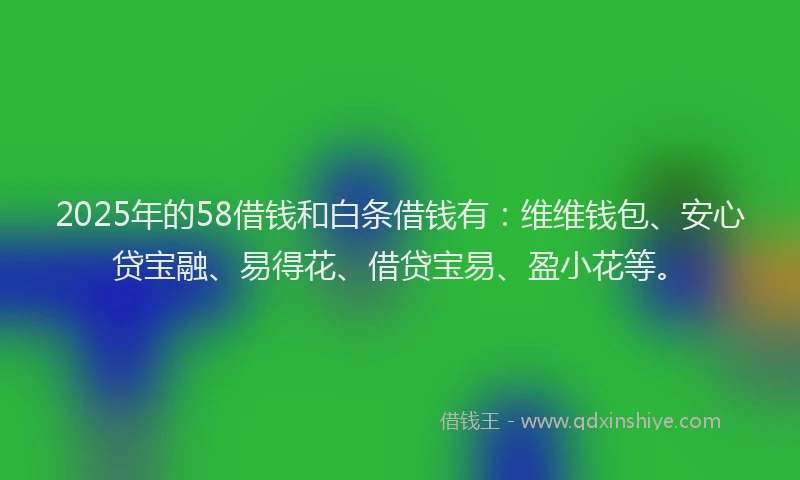 2025年的58借钱和白条借钱有：维维钱包、安心贷宝融、易得花、借贷宝易、盈小花等。