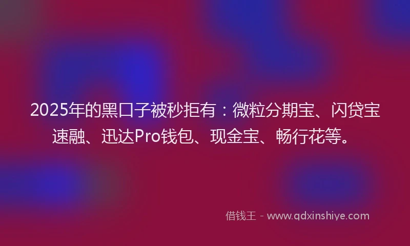 2025年的黑口子被秒拒有:微粒分期宝、闪贷宝速融、迅达Pro钱包、现金宝、畅行花等。