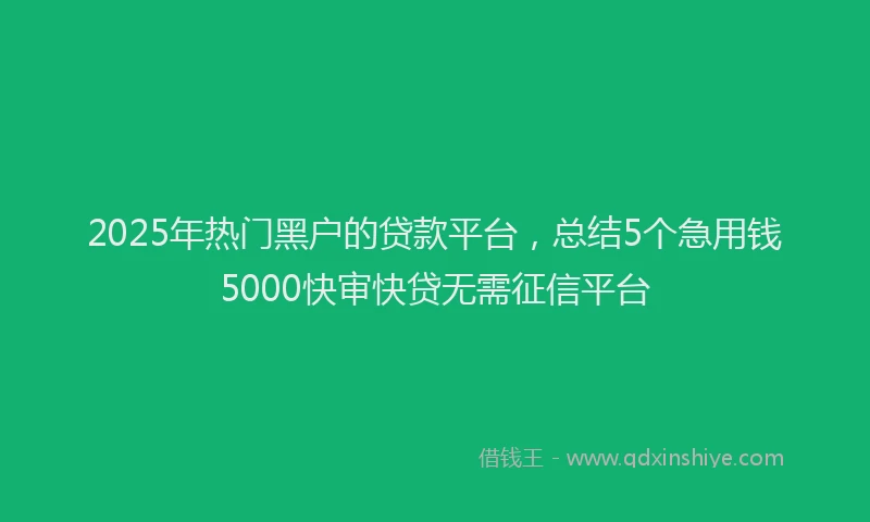 2025年热门黑户的贷款平台，总结5个急用钱5000快审快贷无需征信平台
