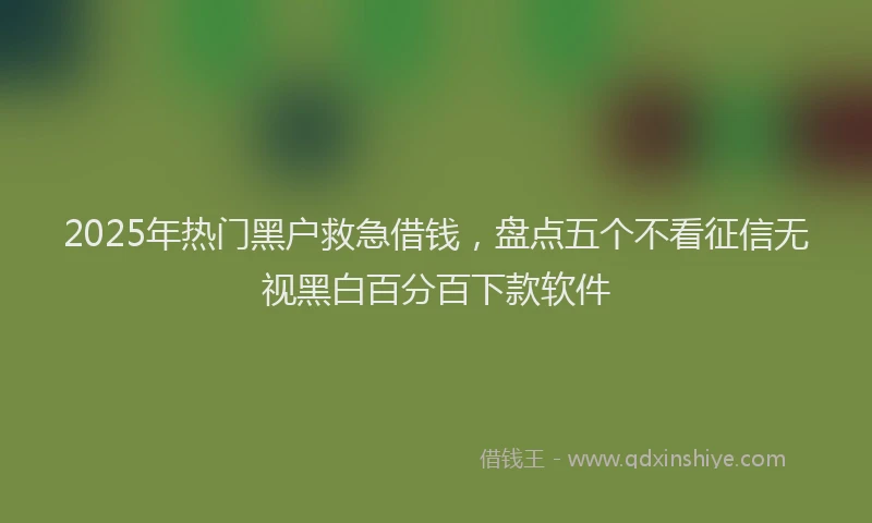 2025年热门黑户救急借钱，盘点五个不看征信无视黑白百分百下款软件
