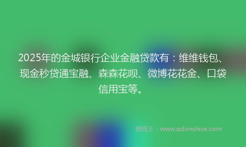 2025年的金城银行企业金融贷款有：维维钱包、现金秒贷通宝融、森森花呗、微博花花金、口袋信用宝等。