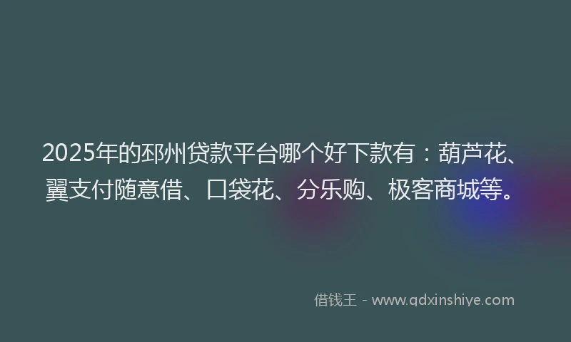 2025年的邳州贷款平台哪个好下款有：葫芦花、翼支付随意借、口袋花、分乐购、极客商城等。