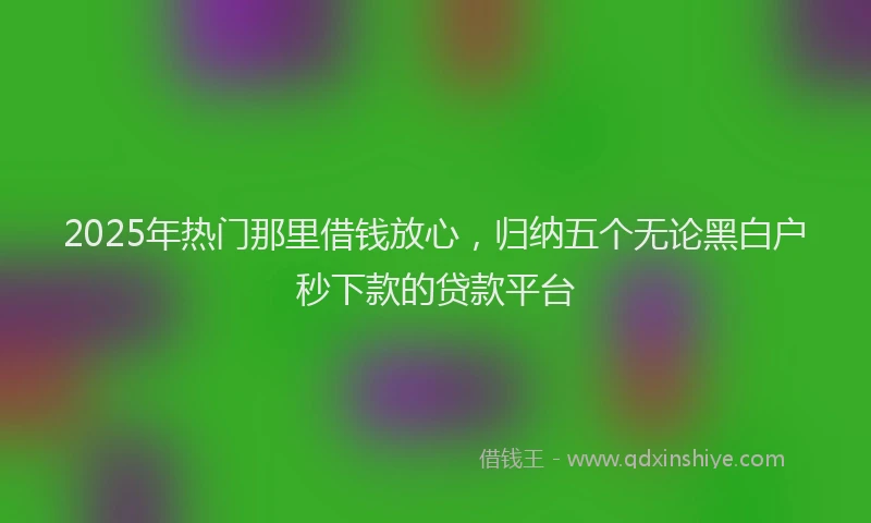 2025年热门那里借钱放心，归纳五个无论黑白户秒下款的贷款平台
