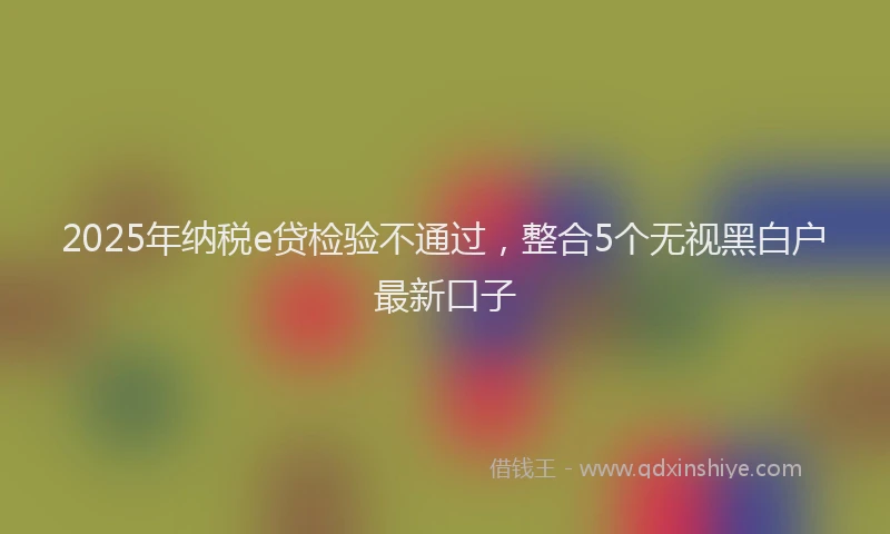 2025年纳税e贷检验不通过，整合5个无视黑白户最新口子