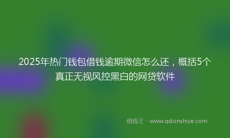 2025年热门钱包借钱逾期微信怎么还，概括5个真正无视风控黑白的网贷软件
