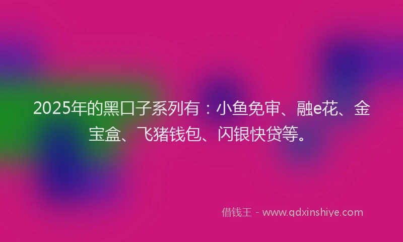 2025年的黑口子系列有：小鱼免审、融e花、金宝盒、飞猪钱包、闪银快贷等。