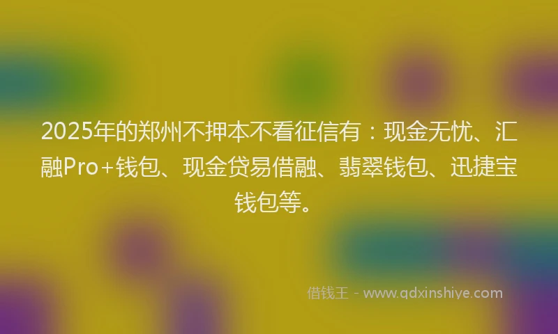 2025年的郑州不押本不看征信有：现金无忧、汇融Pro+钱包、现金贷易借融、翡翠钱包、迅捷宝钱包等。