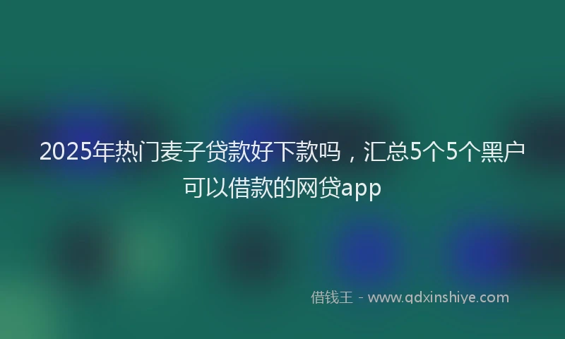 2025年热门麦子贷款好下款吗，汇总5个5个黑户可以借款的网贷app