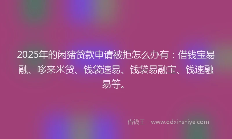 2025年的闲猪贷款申请被拒怎么办有：借钱宝易融、哆来米贷、钱袋速易、钱袋易融宝、钱速融易等。