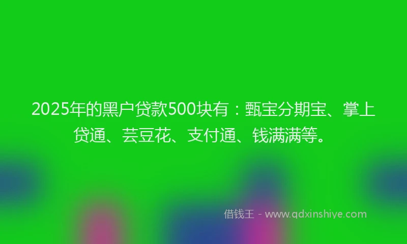 2025年的黑户贷款500块有：甄宝分期宝、掌上贷通、芸豆花、支付通、钱满满等。