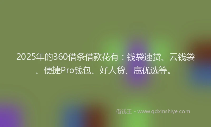 2025年的360借条借款花有：钱袋速贷、云钱袋、便捷Pro钱包、好人贷、鹿优选等。
