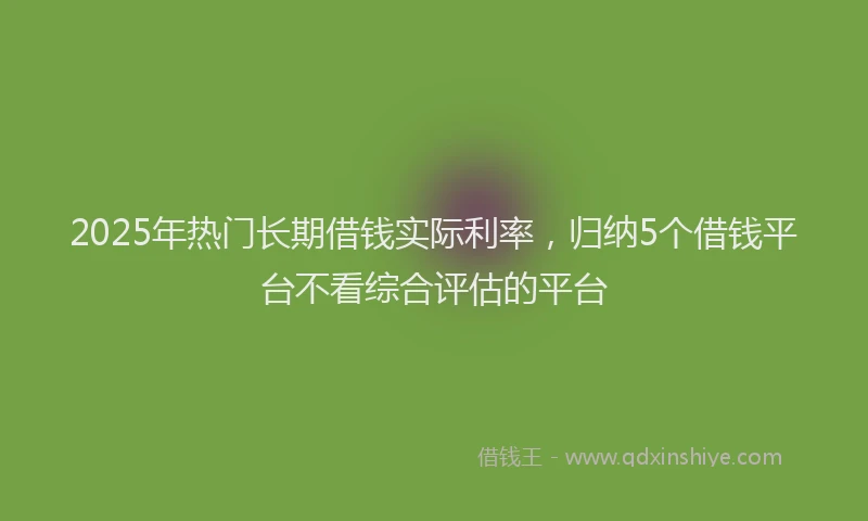 2025年热门长期借钱实际利率，归纳5个借钱平台不看综合评估的平台