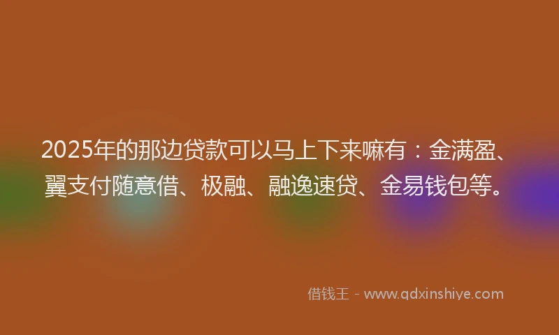 2025年的那边贷款可以马上下来嘛有：金满盈、翼支付随意借、极融、融逸速贷、金易钱包等。