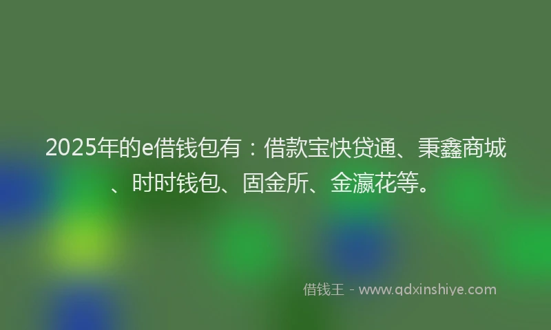 2025年的e借钱包有：借款宝快贷通、秉鑫商城、时时钱包、固金所、金瀛花等。