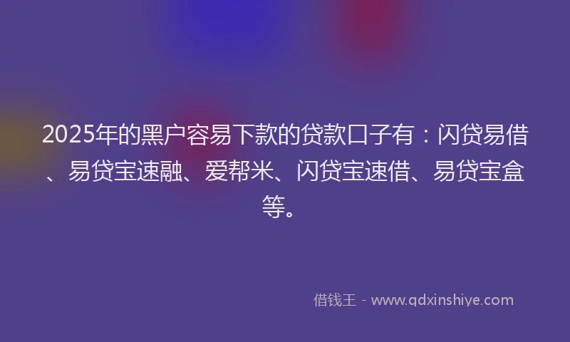 2025年的黑户容易下款的贷款口子有：闪贷易借、易贷宝速融、爱帮米、闪贷宝速借、易贷宝盒等。
