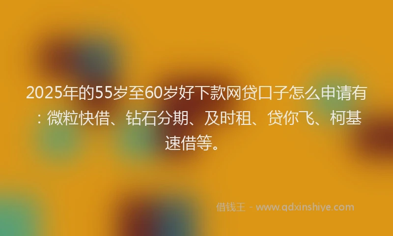 2025年的55岁至60岁好下款网贷口子怎么申请有：微粒快借、钻石分期、及时租、贷你飞、柯基速借等。