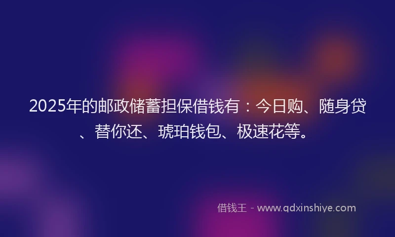 2025年的邮政储蓄担保借钱有：今日购、随身贷、替你还、琥珀钱包、极速花等。