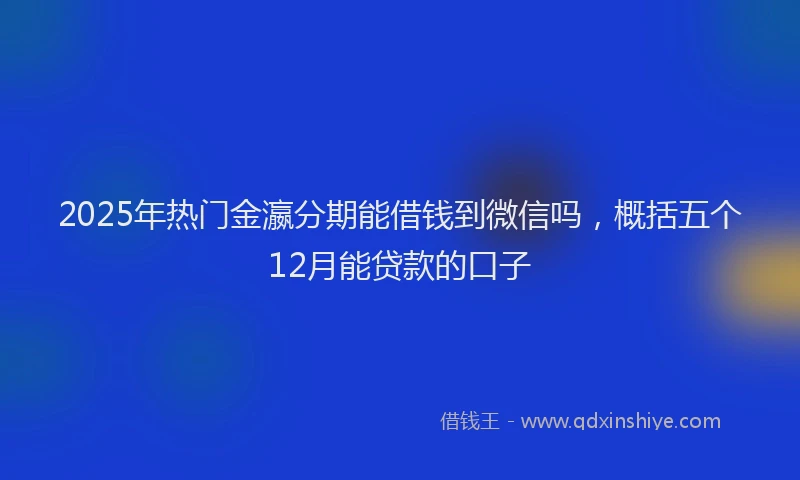 2025年热门金瀛分期能借钱到微信吗，概括五个12月能贷款的口子