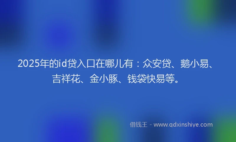 2025年的id贷入口在哪儿有：众安贷、鹅小易、吉祥花、金小豚、钱袋快易等。