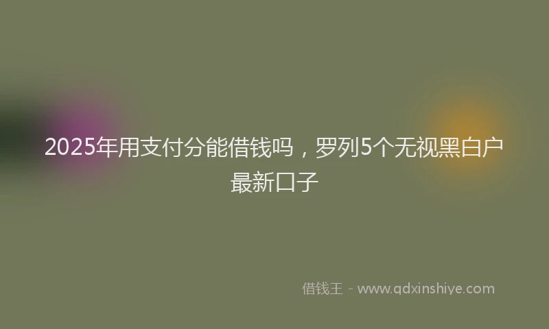 2025年用支付分能借钱吗，罗列5个无视黑白户最新口子