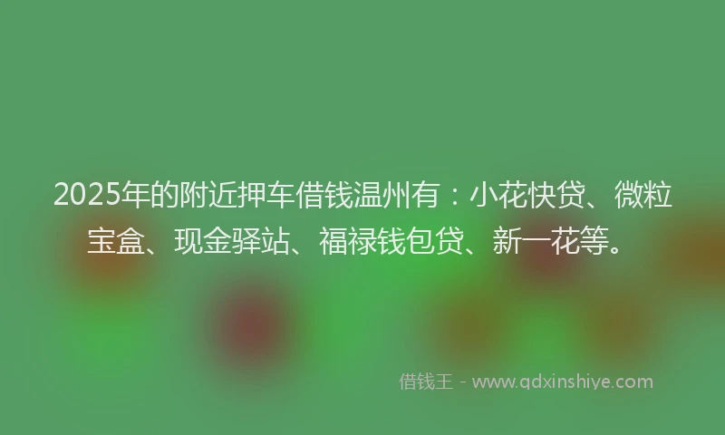 2025年的附近押车借钱温州有：小花快贷、微粒宝盒、现金驿站、福禄钱包贷、新一花等。