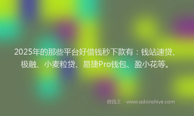 2025年的那些平台好借钱秒下款有：钱站速贷、极融、小麦粒贷、易捷Pro钱包、盈小花等。