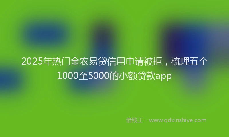 2025年热门金农易贷信用申请被拒，梳理五个1000至5000的小额贷款app