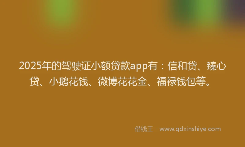2025年的驾驶证小额贷款app有：信和贷、臻心贷、小鹅花钱、微博花花金、福禄钱包等。