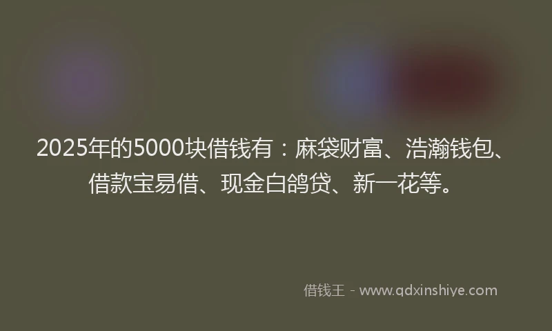 2025年的5000块借钱有：麻袋财富、浩瀚钱包、借款宝易借、现金白鸽贷、新一花等。