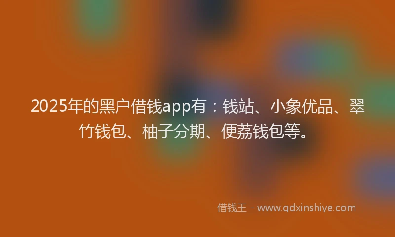 2025年的黑户借钱app有：钱站、小象优品、翠竹钱包、柚子分期、便荔钱包等。