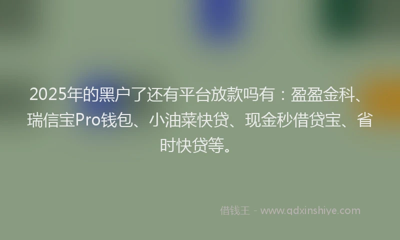 2025年的黑户了还有平台放款吗有：盈盈金科、瑞信宝Pro钱包、小油菜快贷、现金秒借贷宝、省时快贷等。