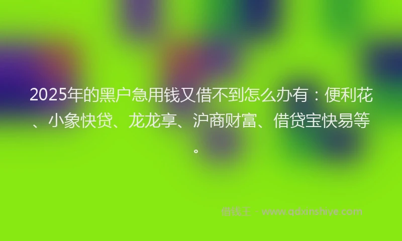 2025年的黑户急用钱又借不到怎么办有：便利花、小象快贷、龙龙享、沪商财富、借贷宝快易等。