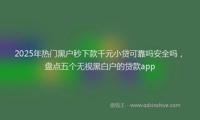 2025年热门黑户秒下款千元小贷可靠吗安全吗，盘点五个无视黑白户的贷款app