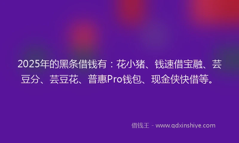 2025年的黑条借钱有：花小猪、钱速借宝融、芸豆分、芸豆花、普惠Pro钱包、现金侠快借等。