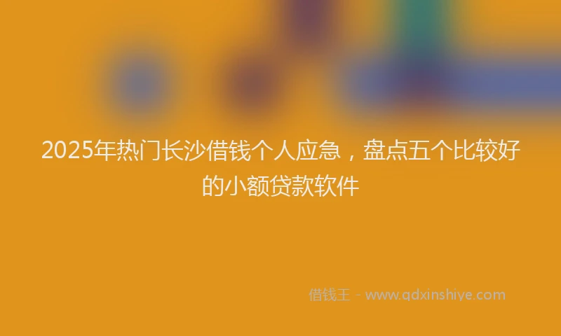2025年热门长沙借钱个人应急,盘点五个比较好的小额贷款软件