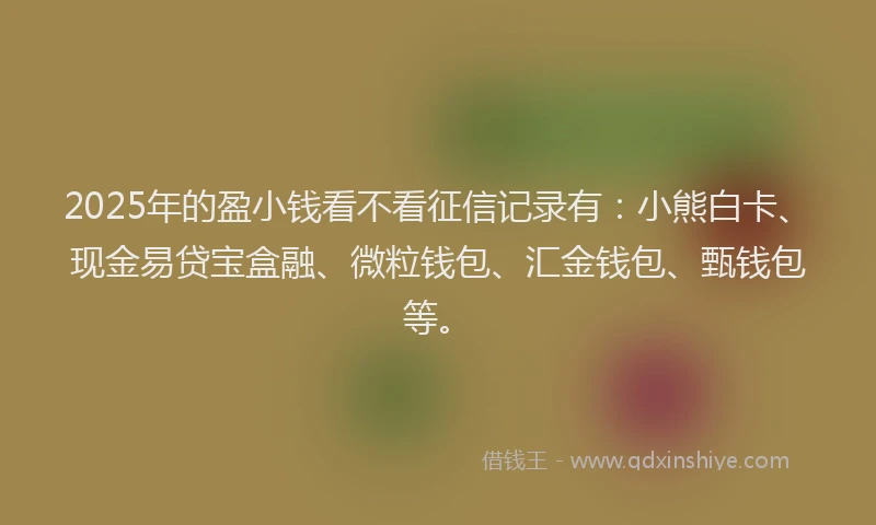 2025年的盈小钱看不看征信记录有：小熊白卡、现金易贷宝盒融、微粒钱包、汇金钱包、甄钱包等。