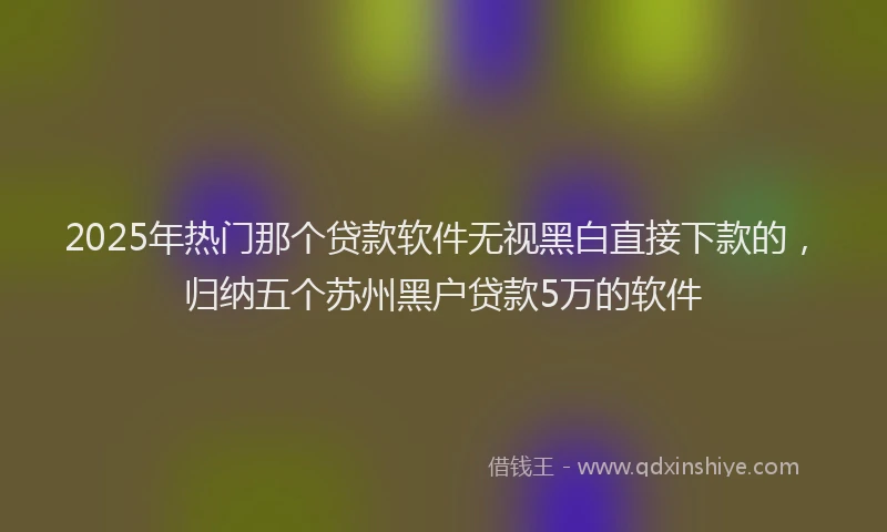 2025年热门那个贷款软件无视黑白直接下款的，归纳五个苏州黑户贷款5万的软件