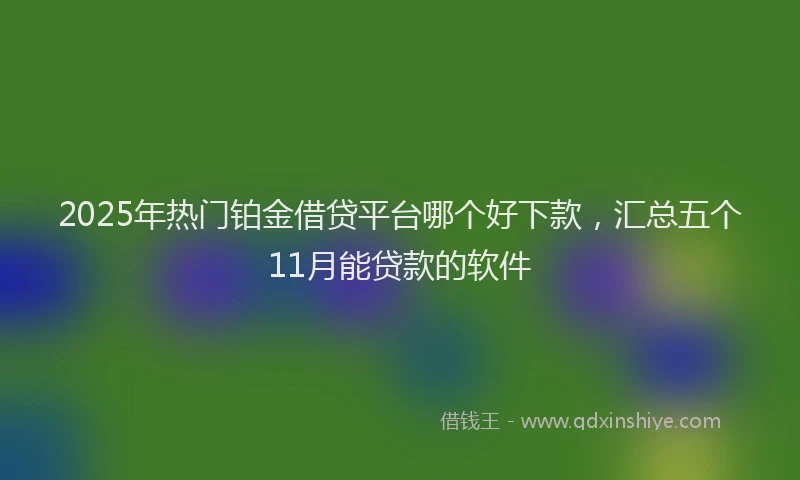 2025年热门铂金借贷平台哪个好下款，汇总五个11月能贷款的软件