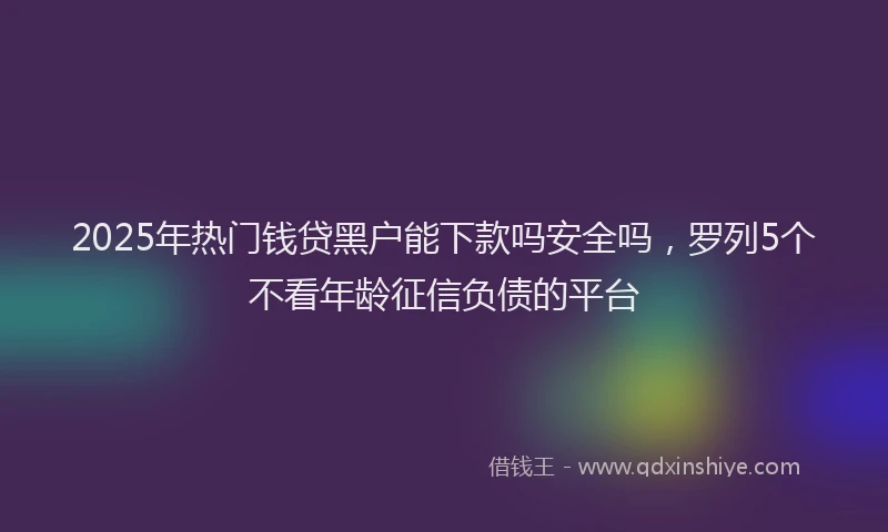 2025年热门钱贷黑户能下款吗安全吗,罗列5个不看年龄征信负债的平台